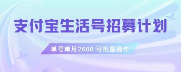 支付宝生活号作者招募计划，单号单月2600，可批量去做，工作室一人一个月轻松1w+【揭秘】-创纪