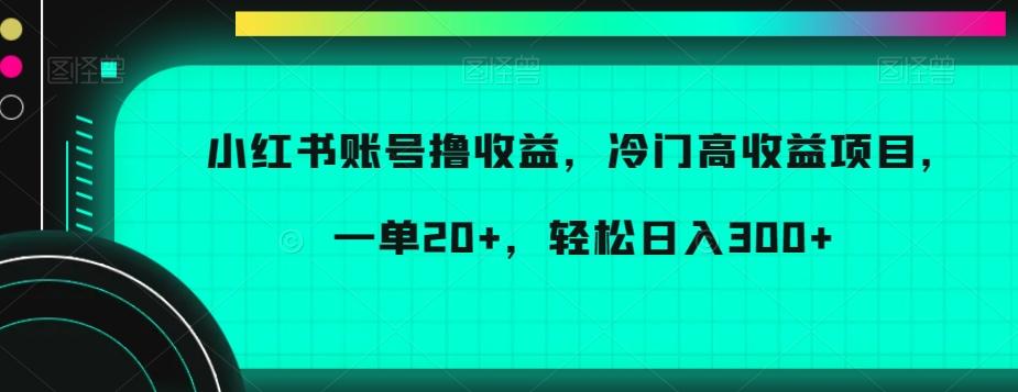 小红书账号撸收益，冷门高收益项目，一单20+，轻松日入300+【揭秘】-创纪
