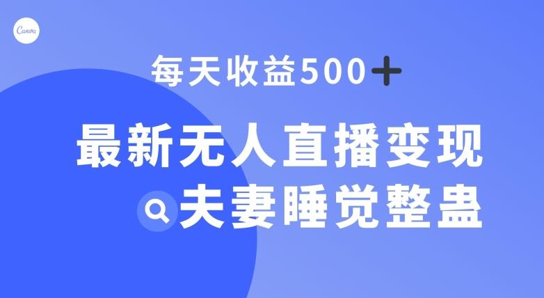 最新无人直播变现，夫妻睡觉整蛊，每天躺赚500+【揭秘】-创纪