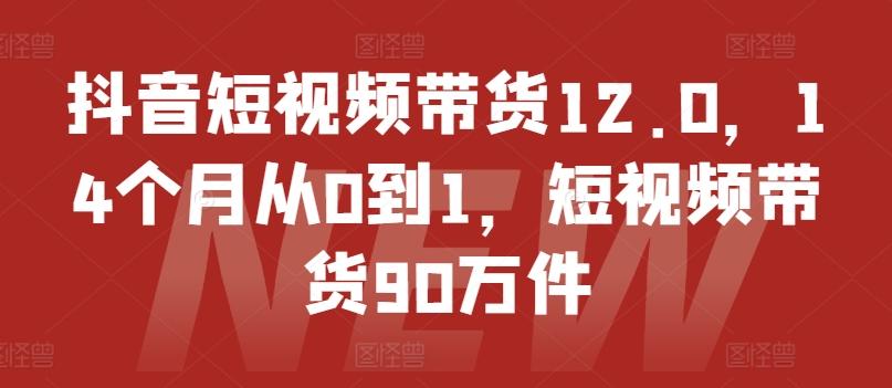 抖音短视频带货12.0，14个月从0到1，短视频带货90万件-创纪