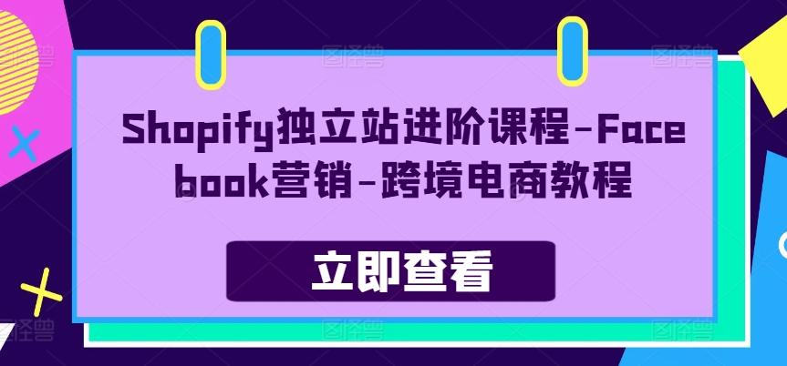 Shopify独立站进阶课程-Facebook营销-跨境电商教程-创纪
