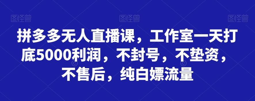 拼多多无人直播课，工作室一天打底5000利润，不封号，不垫资，不售后，纯白嫖流量-创纪