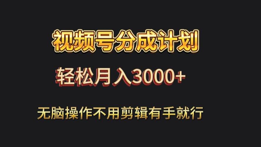 视频号流量分成，不用剪辑，有手就行，轻松月入2000+-创纪