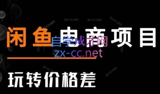 亿创繁星·闲鱼电商项目(玩转价格差)-创纪