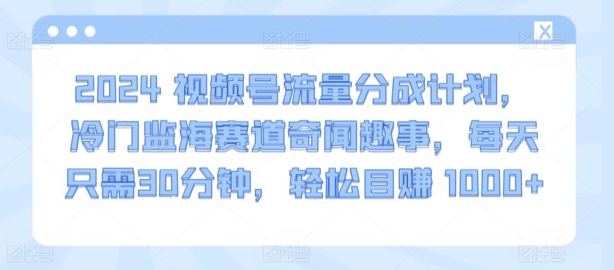 2024视频号流量分成计划，冷门监海赛道奇闻趣事，每天只需30分钟，轻松目赚 1000+【揭秘】-创纪