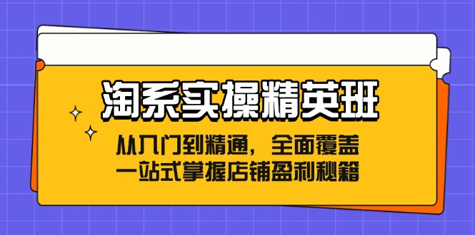 淘系实操精英班：从入门到精通，全面覆盖，一站式掌握店铺盈利秘籍-创纪