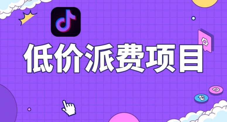 抖音低价派单项目，0门槛，日入1000+很轻松，小白可操作【揭秘】-创纪