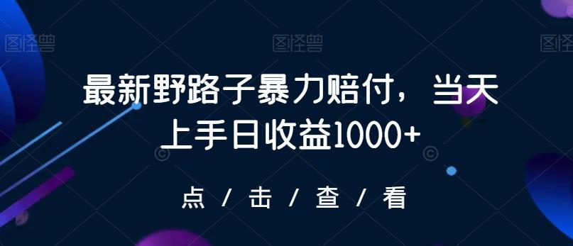 最新野路子暴力赔付，当天上手日收益1000+【仅揭秘】-创纪