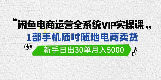 (9547期)闲鱼电商运营全系统VIP实战课，1部手机随时随地卖货，新手日出30单月入5000-创纪