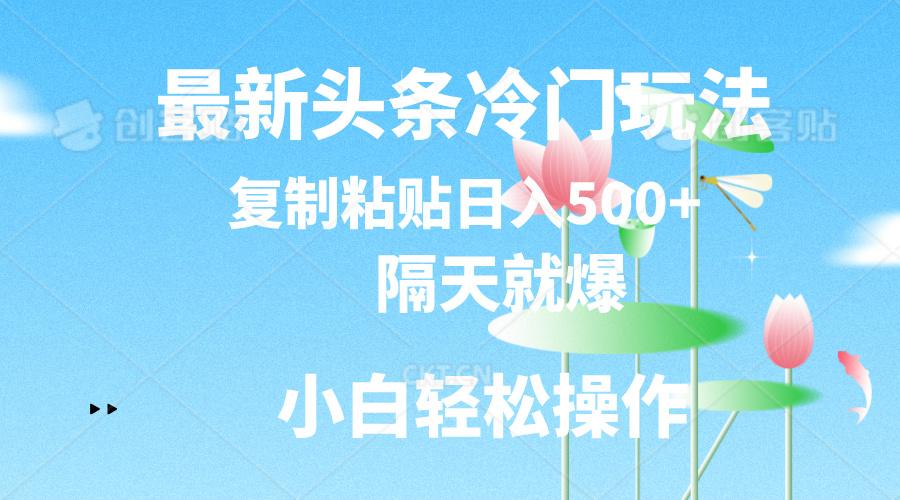 最新头条冷门玩法，隔天就爆，复制粘贴日入500+-创纪