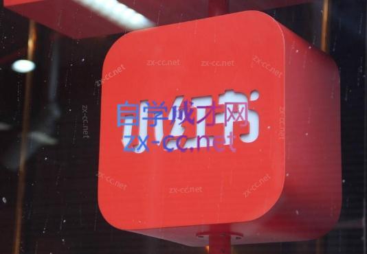 伊伊·红薯【高级班】运营课-创纪