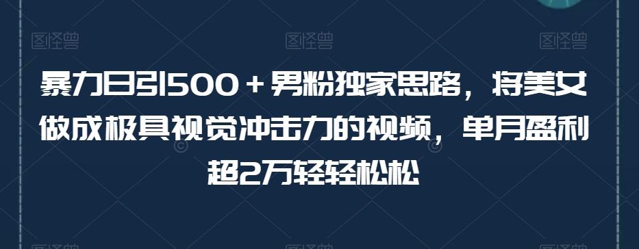 暴力日引500＋男粉独家思路，将美女做成极具视觉冲击力的视频，单月盈利超2万轻轻松松-创纪