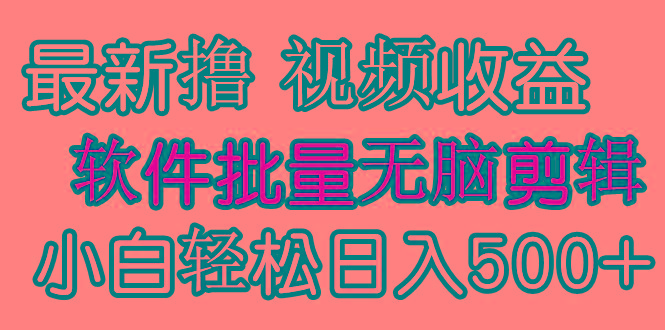(9569期)发视频撸收益，软件无脑批量剪辑，第一天发第二天就有钱-创纪