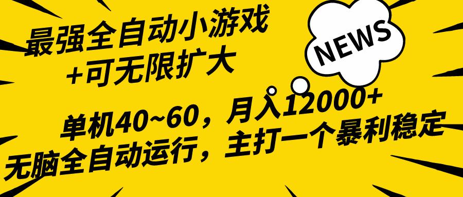 (10046期)2024最新全网独家小游戏全自动，单机40~60,稳定躺赚，小白都能月入过万-创纪