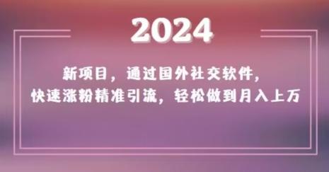 2024新项目，通过国外社交软件，快速涨粉精准引流，轻松做到月入上万【揭秘】-创纪