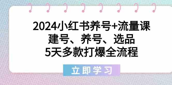 2024小红书养号+流量课：建号、养号、选品，5天多款打爆全流程-创纪