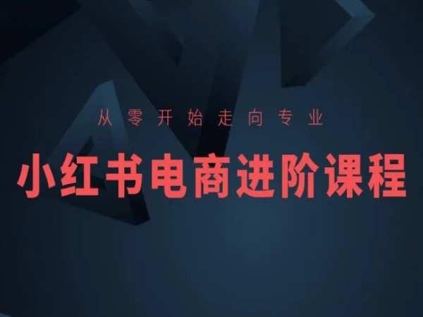从零开始走向专业，小红书电商进阶课程-创纪