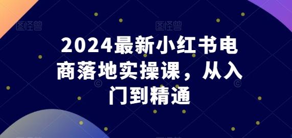 2024最新小红书电商落地实操课，从入门到精通-创纪