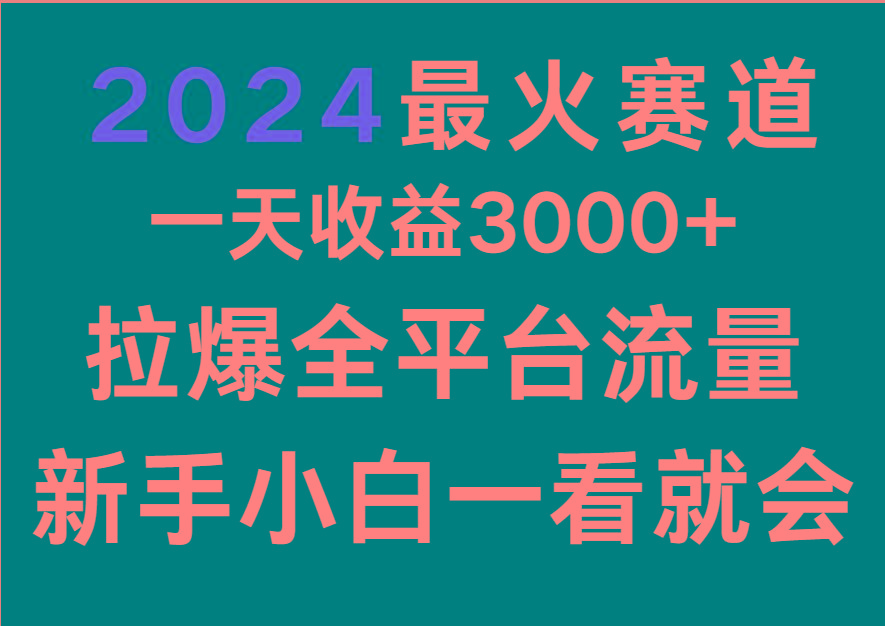 2024最火赛道，一天收一3000+.拉爆全平台流量，新手小白一看就会-创纪