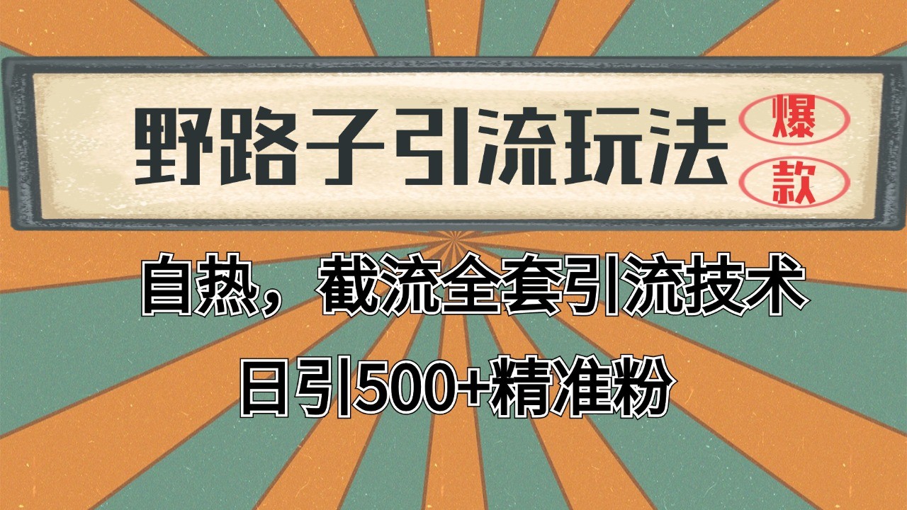 抖音小红书视频号全平台引流打法，全自动引流日引2000+精准客户-创纪