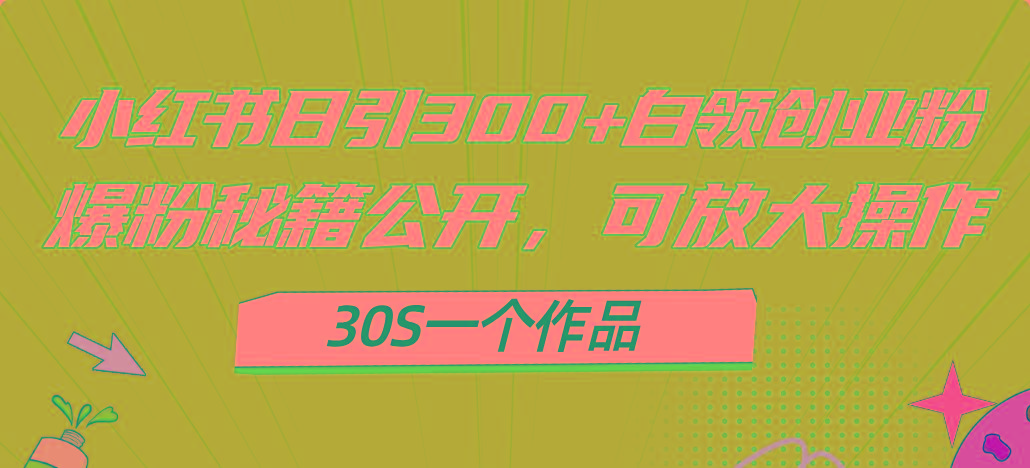 小红书日引300+高质白领创业粉，可放大操作，爆粉秘籍！30s一个作品-创纪
