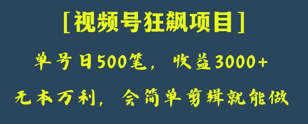 日收款500笔，纯利润3000+，视频号狂飙项目，会简单剪辑就能做【揭秘】-创纪