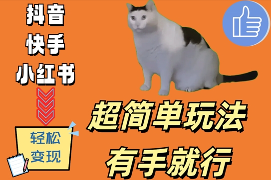 超简单玩法，有手就行，靠猫咪视频日入500+【揭秘】-创纪