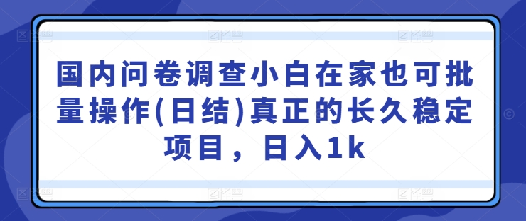 国内问卷调查小白在家也可批量操作(日结)真正的长久稳定项目,日入1k【揭秘】
