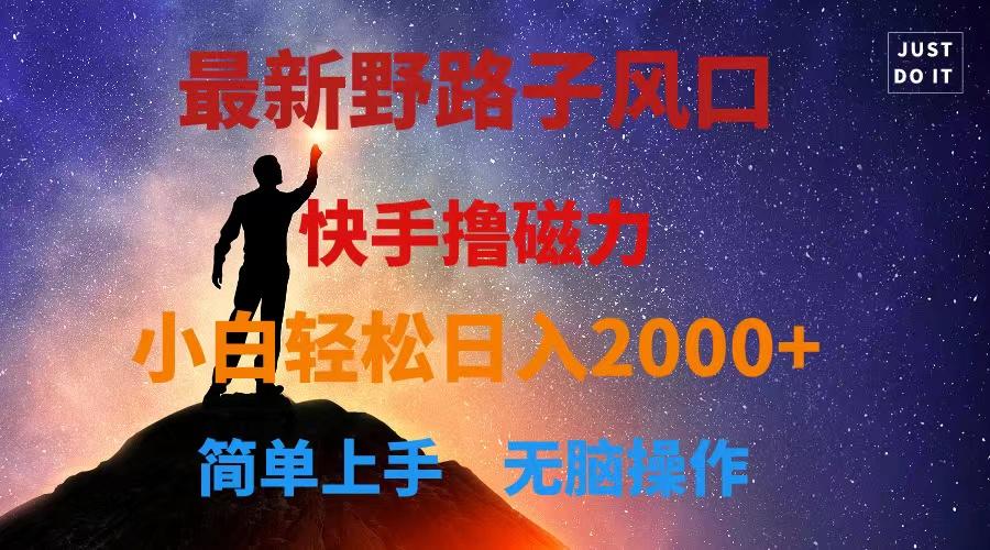 最新风口！快手撸磁力，野路子，小白无脑操作日入2000+-创纪