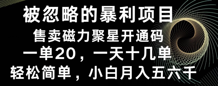 被忽略的暴利项目！售卖磁力聚星开通码，一单20，一天十几单，轻松月入五六千-创纪