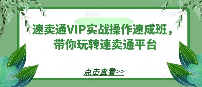 速卖通VIP实战操作速成班，带你玩转速卖通平台-创纪
