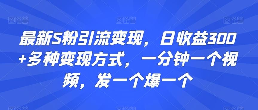最新S粉引流变现，日收益300+多种变现方式，一分钟一个视频，发一个爆一个【揭秘】-创纪