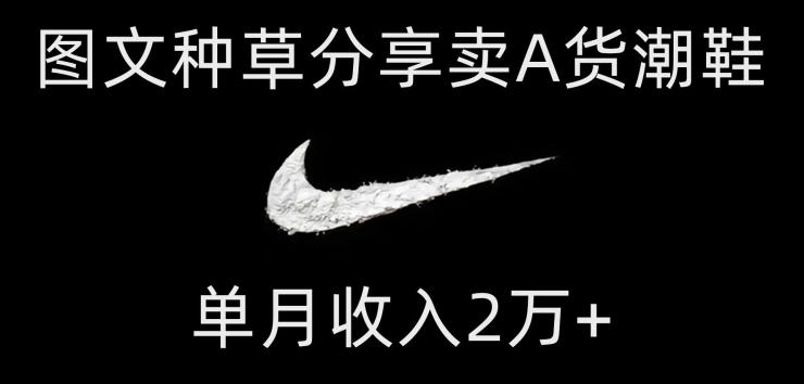 靠图文种草分享卖A货潮鞋，每天一小时，单月收入2万+【揭秘】-创纪