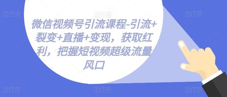 微信视频号引流课程-引流+裂变+直播+变现，获取红利，把握短视频超级流量风口-创纪