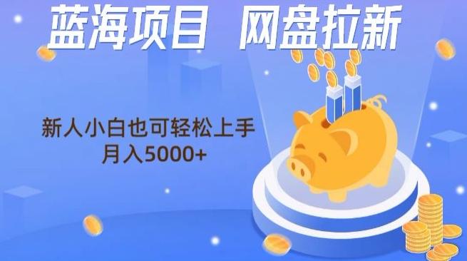 蓝海项目网盘拉新，新人小白也可操作，每月收入5000+-创纪