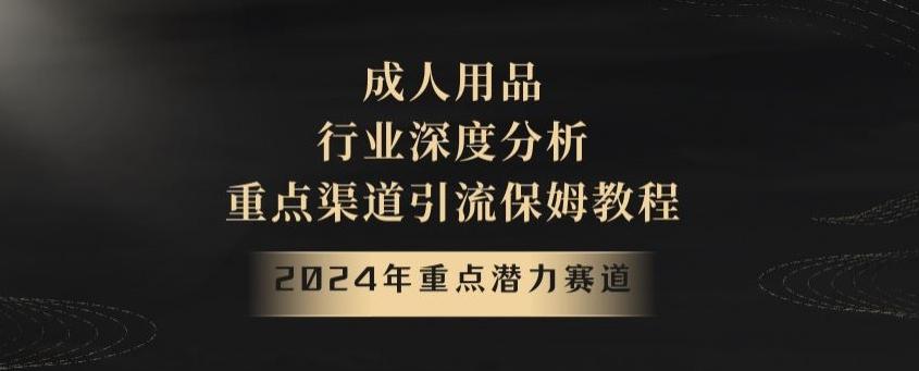 2024年重点潜力赛道，成人用品行业深度分析，重点渠道引流保姆教程【揭秘】-创纪