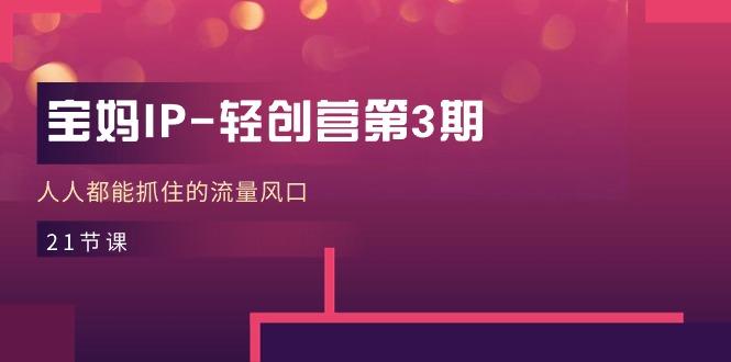 宝妈IP-轻创营第3期，人人都能抓住的流量风口(21节课-创纪