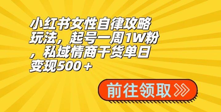 小红书女性自律攻略玩法，起号一周1W粉，私域情商干货单日变现500＋-创纪