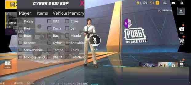 PUBG轻量老外裸奔绘制+自瞄 支持ROOT和框架 里面有全局离线-创纪