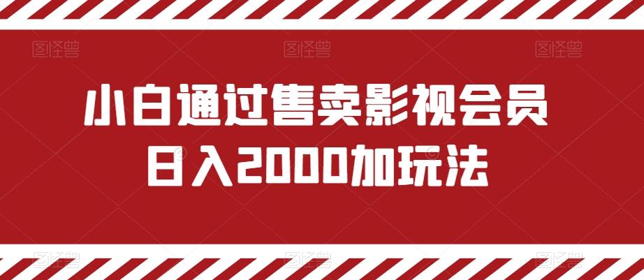 小白通过售卖影视会员日入2000加玩法-创纪