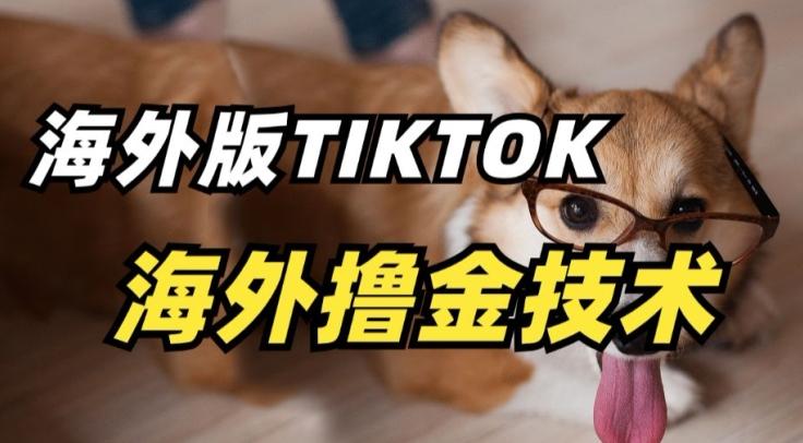 抖音海外版tiktok撸金技术，这个风口行业，赚钱真的不难【揭秘】-创纪