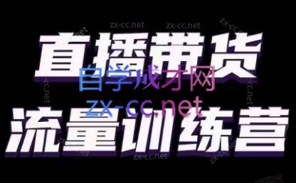 婉婉·直播带货课程系列合集(更新8月)-创纪