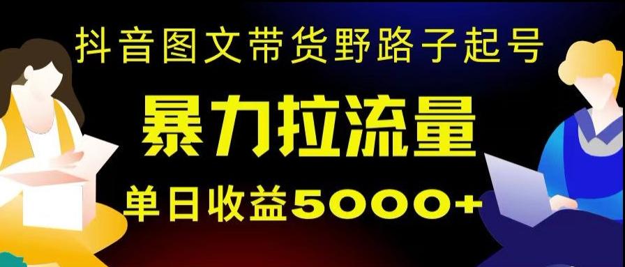 抖音图文带货暴力起号，单日收益5000+，野路子玩法，简单易上手，一部手机即可【揭秘】-创纪
