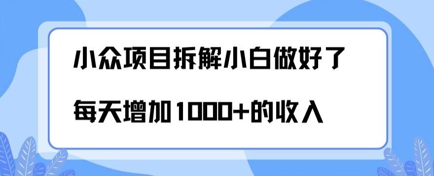 小众项目拆解，小白做好了每天可增加1000多的收入-创纪