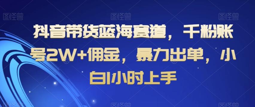 抖音带货蓝海赛道，千粉账号2W+佣金，暴力出单，小白1小时上手【揭秘】-创纪