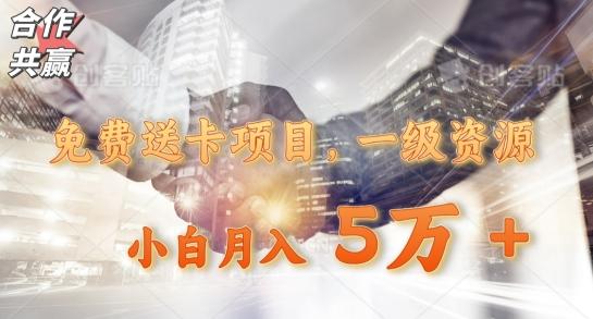 免费送卡项目，一级资源，小白月入5万+-创纪