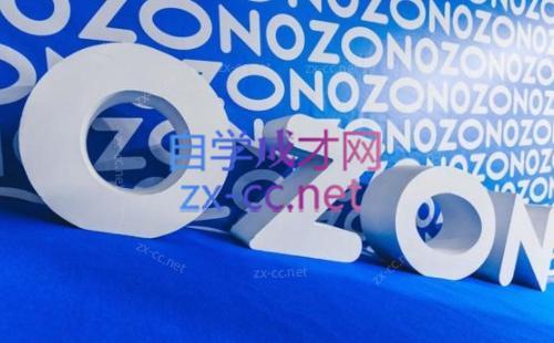 森哥·出海俄罗斯电商实操(2024)-创纪