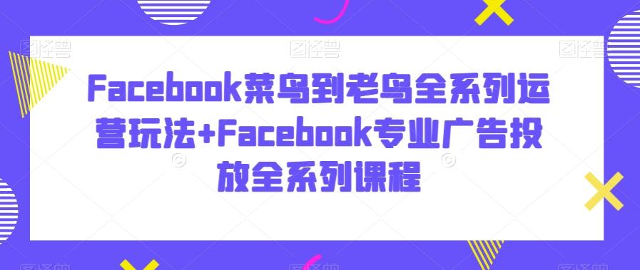 Facebook菜鸟到老鸟全系列运营玩法+Facebook专业广告投放全系列课程-创纪