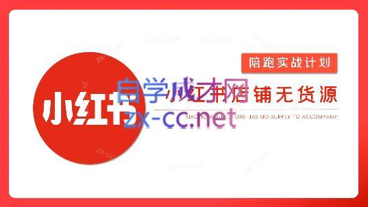 安琪·小红书店铺无货源-创纪