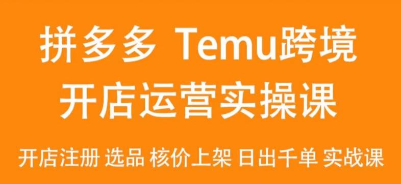 2024Temu最新玩法，Temu跨境开店运营实操课，开店注册/选品/核价上架/日出千单实战课-创纪